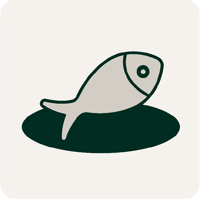 Fish. Illustration.