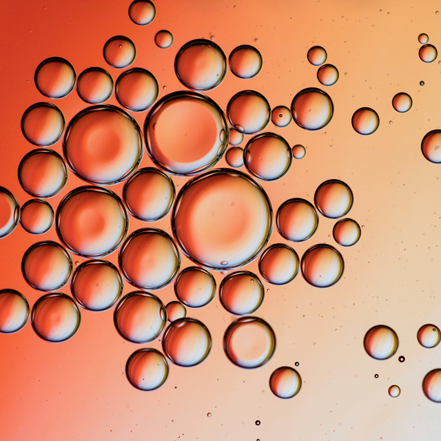 A photo of oil droplets in water. 