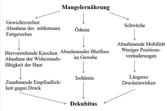 Mangelernährung und Dekubitus